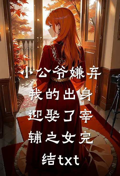 小公爷嫌弃我的出身，迎娶了宰辅之女完结txt