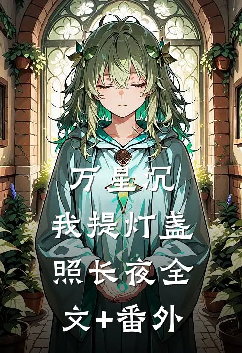 万星沉，我提灯盏照长夜全文+番外