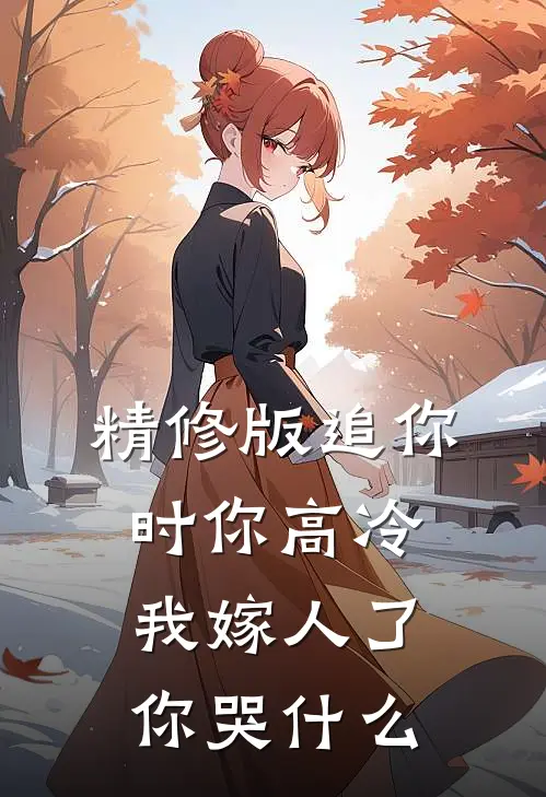 精修版追你时你高冷,我嫁人了你哭什么