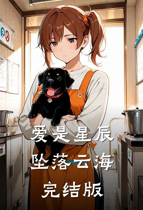 爱是星辰，坠落云海完结版