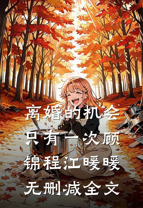 离婚的机会只有一次顾锦程江暖暖无删减全文