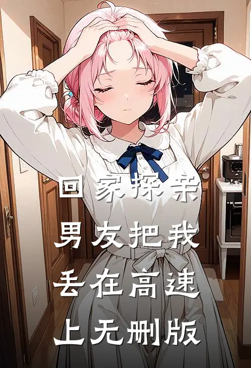 回家探亲，男友把我丢在高速上无删版