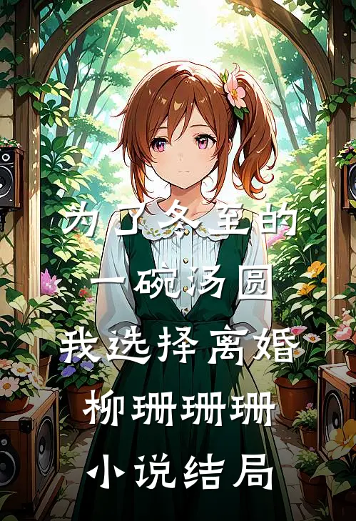为了冬至的一碗汤圆，我选择离婚柳珊珊珊小说结局