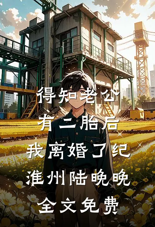 得知老公有二胎后，我离婚了纪淮州陆晚晚全文免费