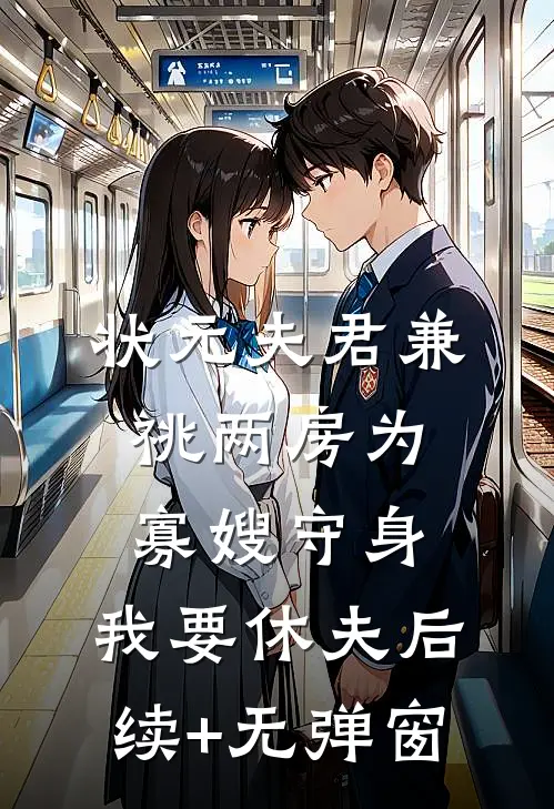 状元夫君兼祧两房为寡嫂守身，我要休夫后续+无弹窗