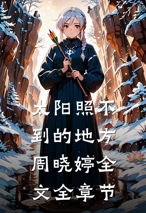 太阳照不到的地方周晓婷全文全章节