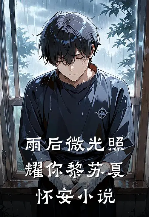 雨后微光照耀你黎苏夏怀安小说
