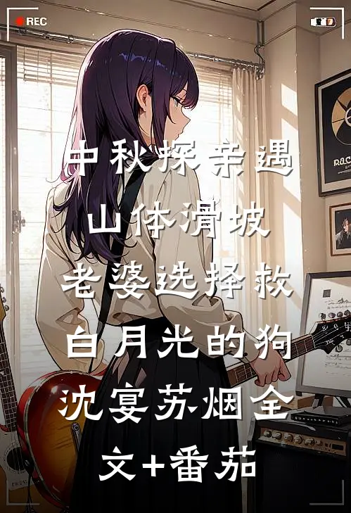 中秋探亲遇山体滑坡，老婆选择救白月光的狗沈宴苏烟全文+番茄