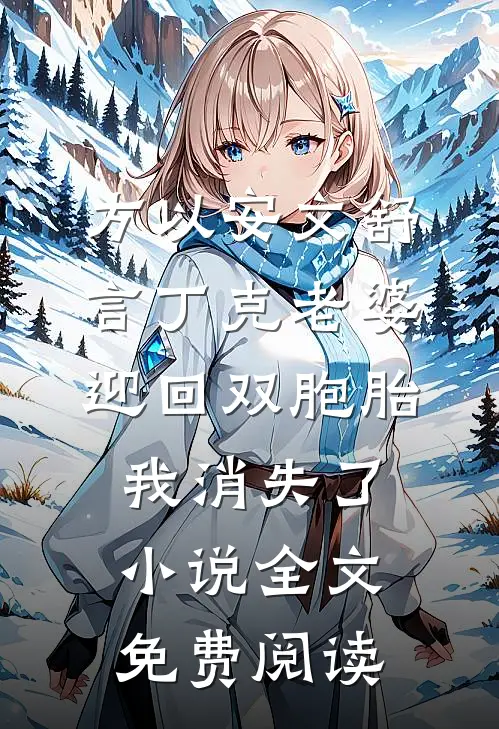 方以安文舒言丁克老婆迎回双胞胎，我消失了小说全文免费阅读