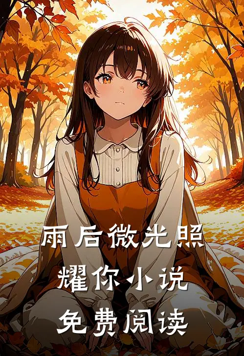 雨后微光照耀你小说免费阅读