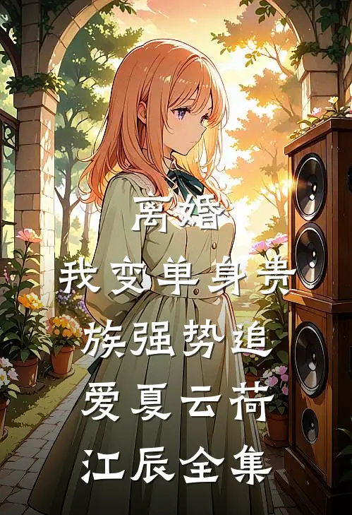 离婚：我变单身贵族强势追爱夏云荷江辰全集