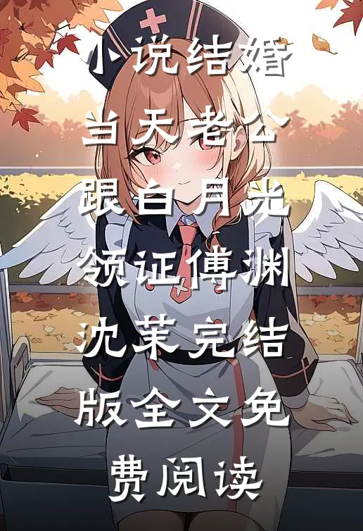 小说结婚当天老公跟白月光领证傅渊沈茉完结版全文免费阅读