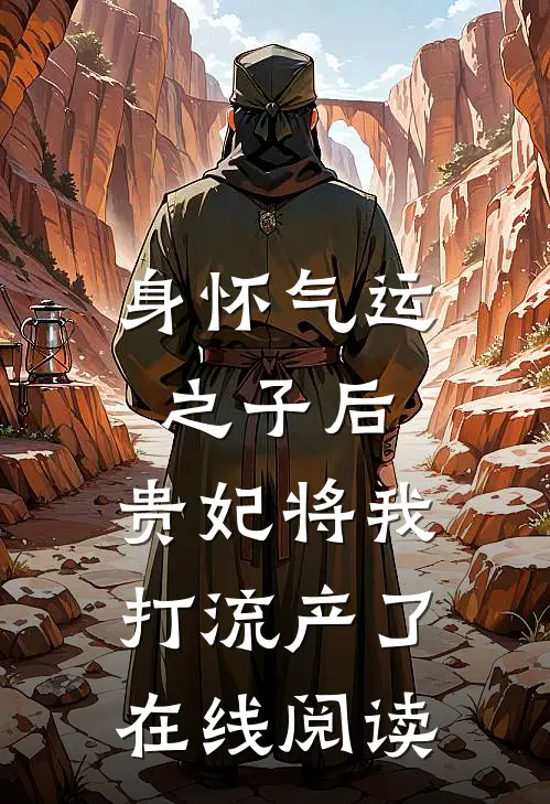 身怀气运之子后，贵妃将我打流产了在线阅读