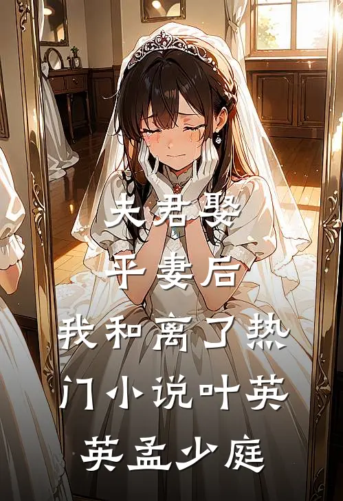 夫君娶平妻后，我和离了热门小说叶英英孟少庭