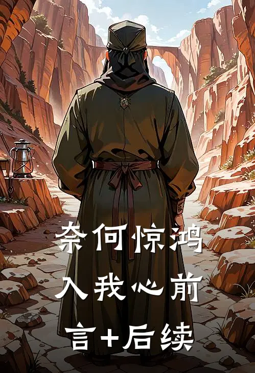 奈何惊鸿入我心前言+后续