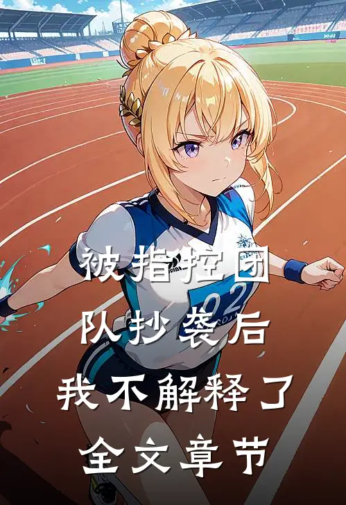 被指控团队抄袭后，我不解释了全文章节