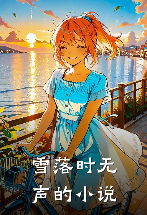雪落时无声的小说