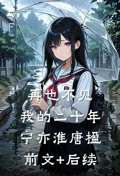 再也不见，我的二十年宁亦淮唐楹前文+后续