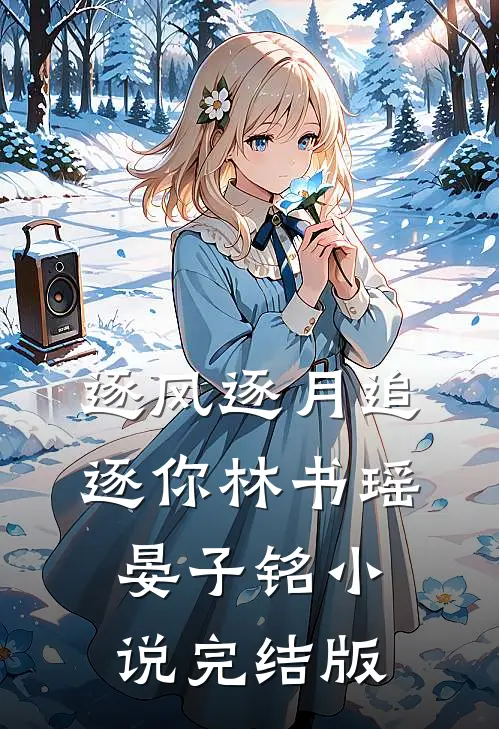 逐风逐月追逐你林书瑶晏子铭小说完结版