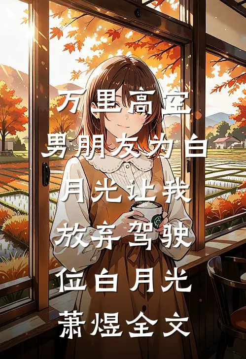 万里高空，男朋友为白月光让我放弃驾驶位白月光萧煜全文
