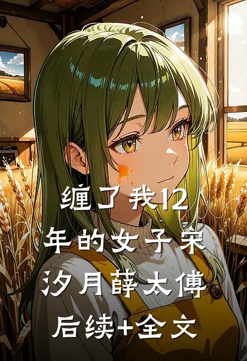缠了我12年的女子宋汐月薛太傅后续+全文