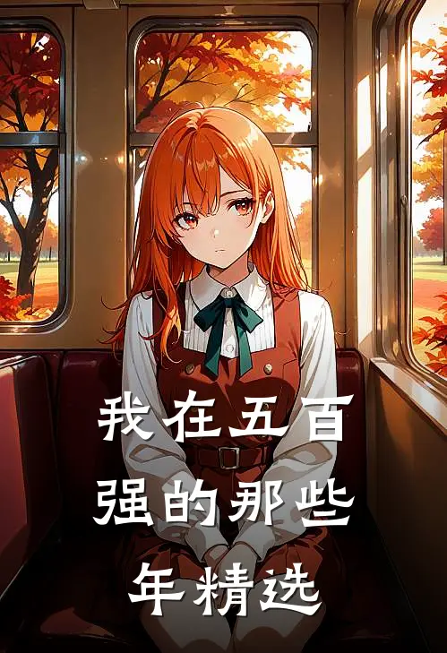 我在五百强的那些年精选