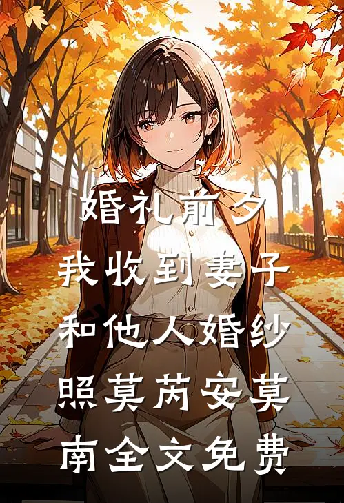 婚礼前夕，我收到妻子和他人婚纱照莫芮安莫南全文免费