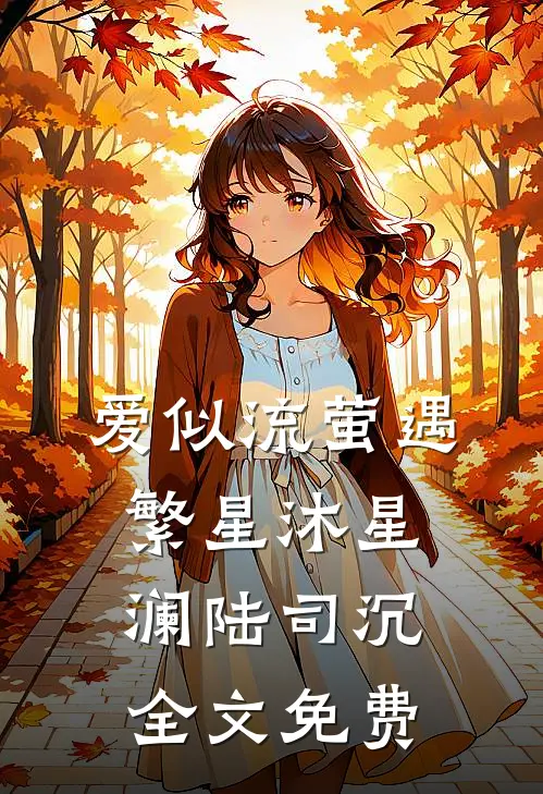 爱似流萤遇繁星沐星澜陆司沉全文免费