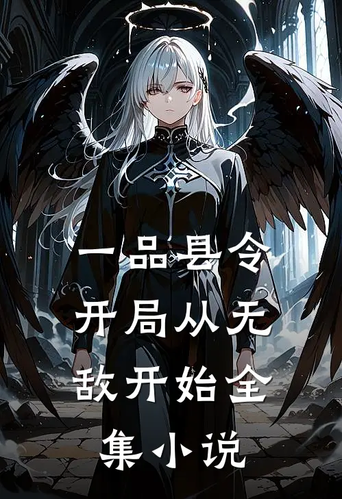 一品县令：开局从无敌开始全集小说