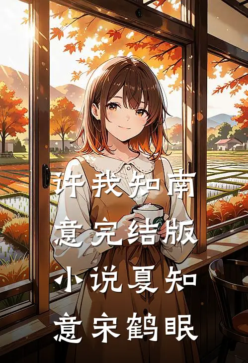 许我知南意完结版小说夏知意宋鹤眠