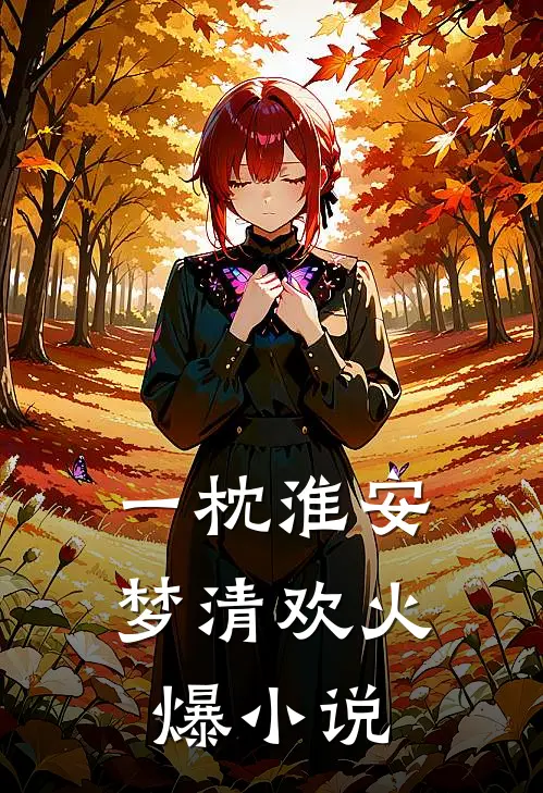 一枕淮安梦清欢火爆小说