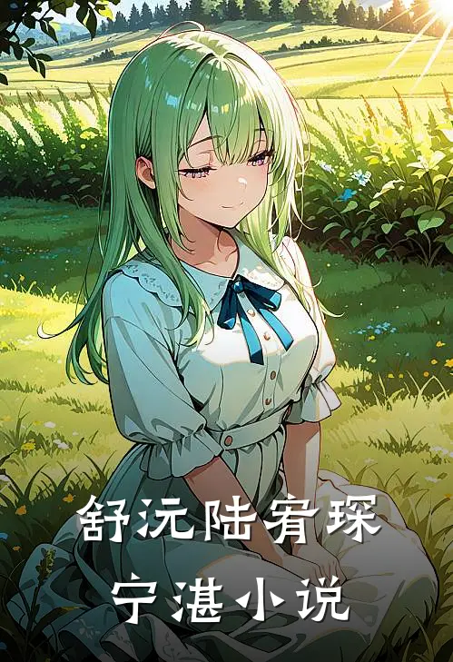 舒沅陆宥琛宁湛小说