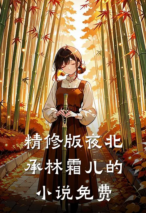 精修版夜北承林霜儿的小说免费