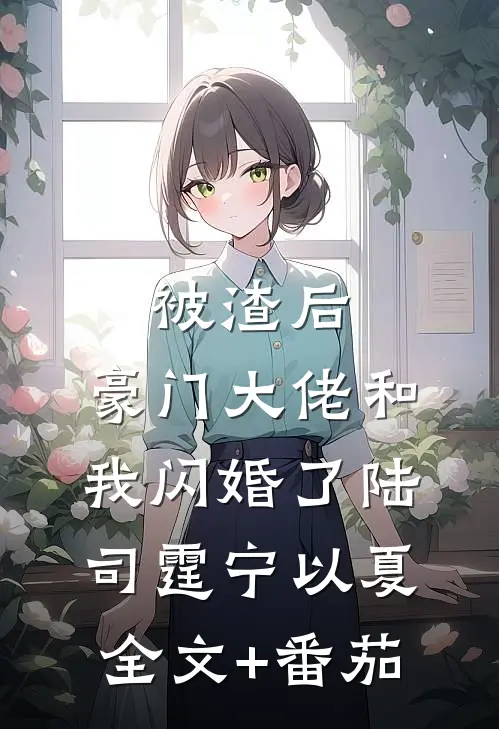 被渣后，豪门大佬和我闪婚了陆司霆宁以夏全文+番茄