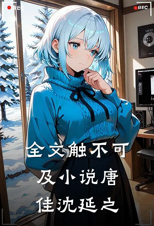 全文触不可及小说唐佳沈延之