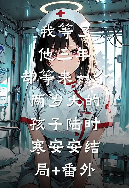我等了他三年，却等来一个两岁大的孩子陆时寒安安结局+番外