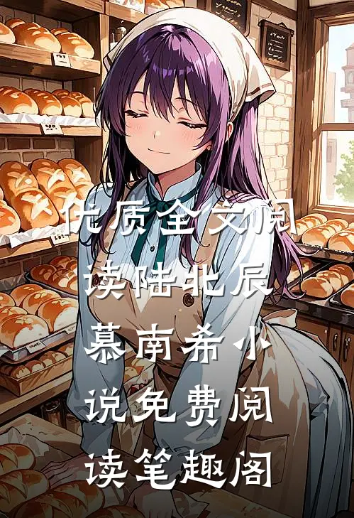 优质全文阅读陆北辰慕南希小说免费阅读笔趣阁