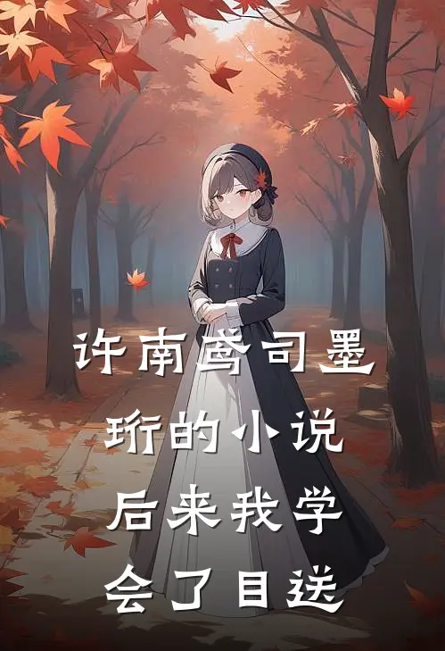 许南鸢司墨珩的小说后来我学会了目送