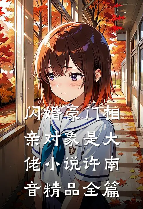 闪婚豪门相亲对象是大佬小说许南音精品全篇