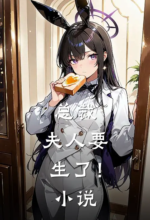 总裁，夫人要生了！小说