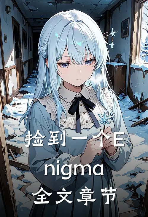 捡到一个Enigma全文章节