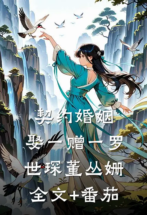 契约婚姻，娶一赠一罗世琛董丛姗全文+番茄
