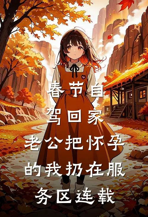 春节自驾回家，老公把怀孕的我扔在服务区连载