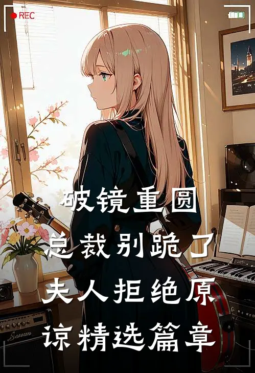 破镜重圆：总裁别跪了，夫人拒绝原谅精选篇章