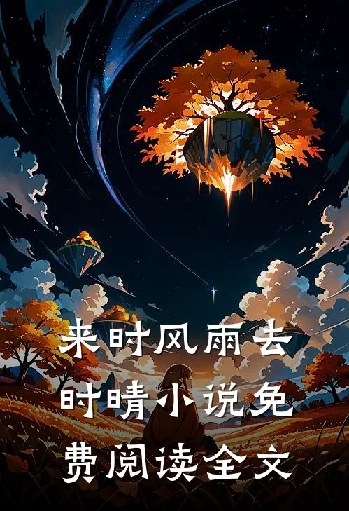 来时风雨去时晴小说免费阅读全文