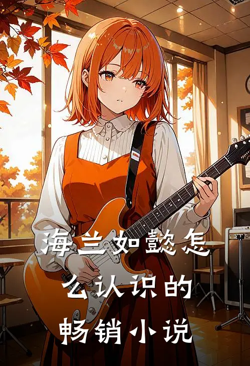 海兰如懿怎么认识的畅销小说