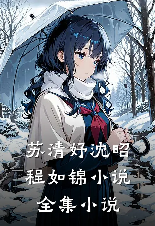 苏清妤沈昭程如锦小说全集小说