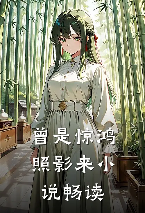 曾是惊鸿照影来小说畅读