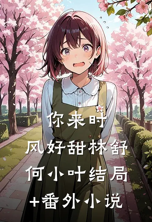 你来时，风好甜林舒何小叶结局+番外小说