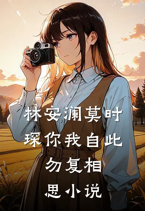 林安澜莫时琛你我自此，勿复相思小说